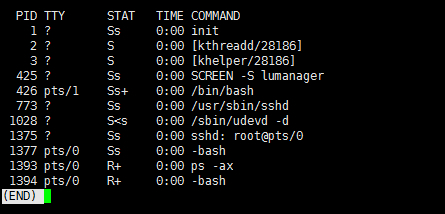 10个常用Linux系统PS命令实际使用应用