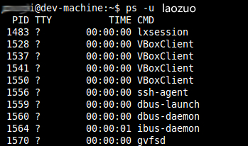 10个常用Linux系统PS命令实际使用应用